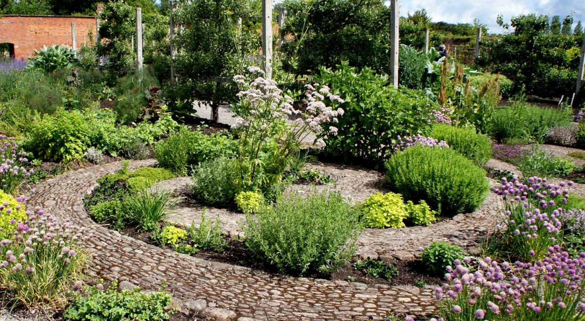 Food and Land in the Shmita Year: A Release from Old Paradigms Geez